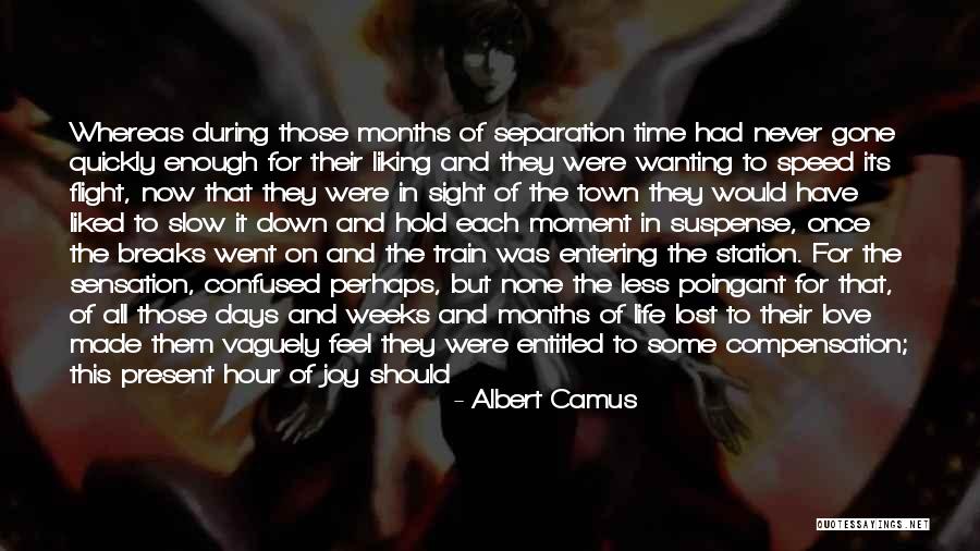 Confused In Love Quotes By Albert Camus