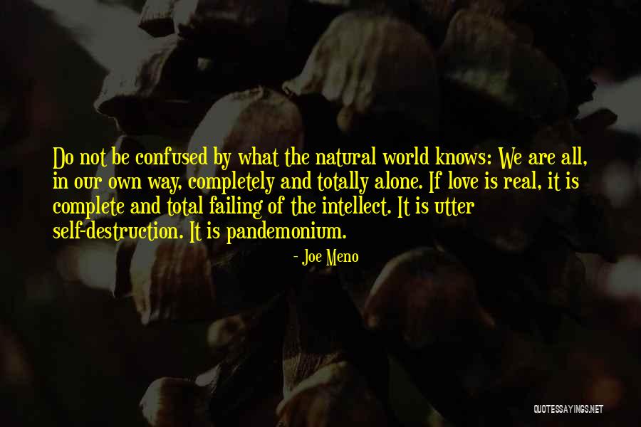 Confused In Love Quotes By Joe Meno Confused In Love Quotes By Joe Meno