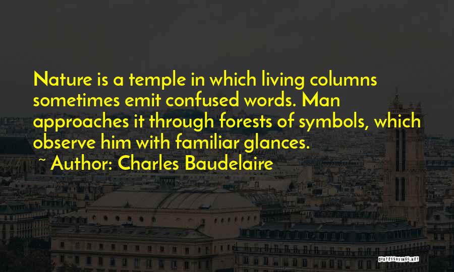 Confused Man Quotes By Charles Baudelaire