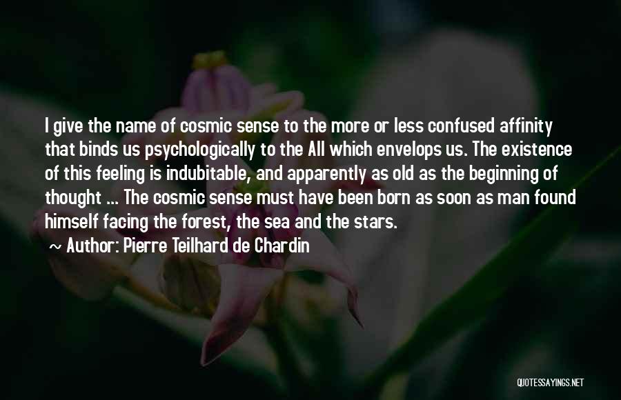 Confused Man Quotes By Pierre Teilhard De Chardin