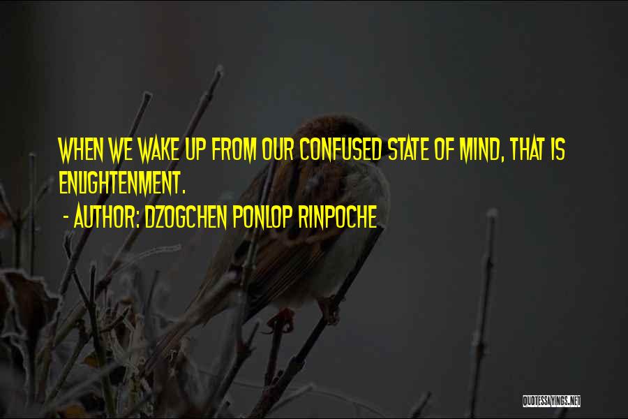 Confused Mind Quotes By Dzogchen Ponlop Rinpoche