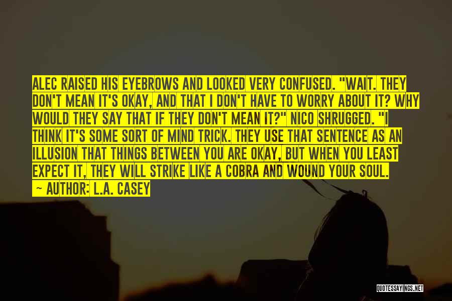 Confused Mind Quotes By L.A. Casey