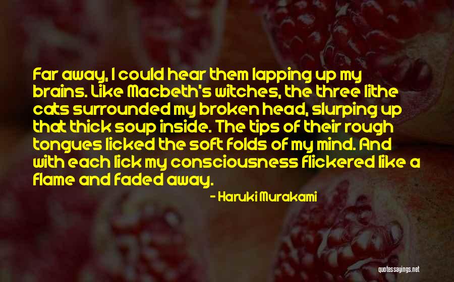Confusement Synonym Quotes By Haruki Murakami Confusement Synonym Quotes By Haruki Murakami