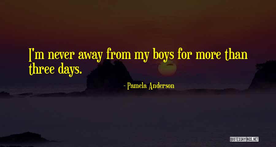 Confuser Unpacker Quotes By Pamela Anderson Confuser Unpacker Quotes By Pamela Anderson