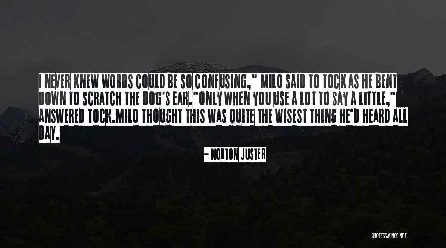 Confusing Words Quotes By Norton Juster Confusing Words Quotes By Norton Juster