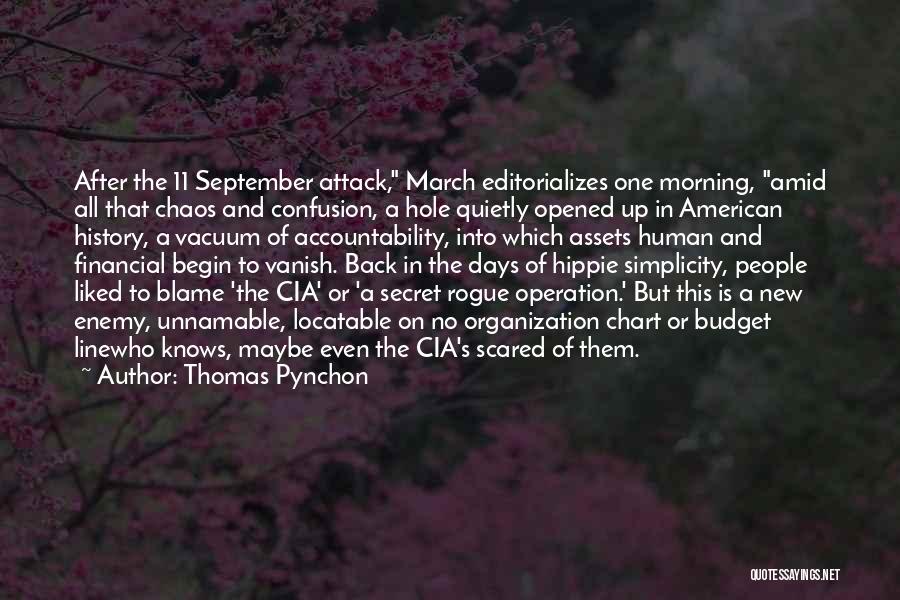 Confusion And Chaos Quotes By Thomas Pynchon