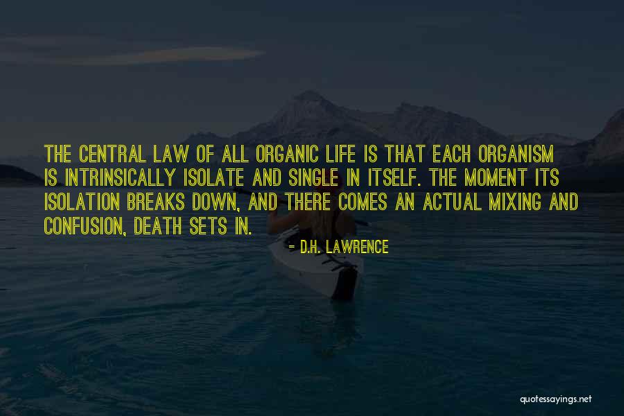 Confusion In Love And Life Quotes By D.H. Lawrence Confusion In Love And Life Quotes By D.H. Lawrence