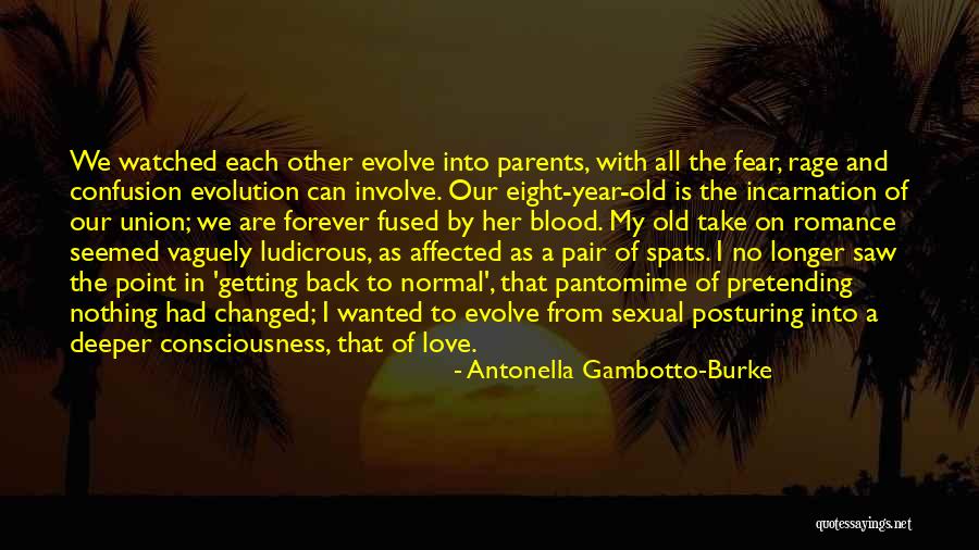 Confusion In Love Quotes By Antonella Gambotto-Burke Confusion In Love Quotes By Antonella Gambotto-Burke
