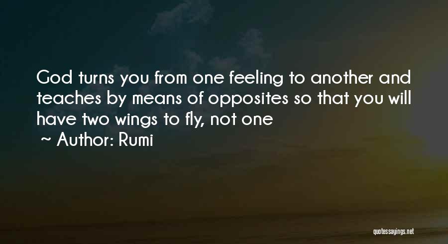 Confusion Love Quotes By Rumi