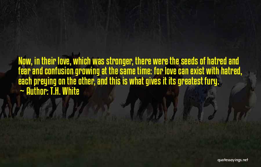 Confusion Love Quotes By T.H. White