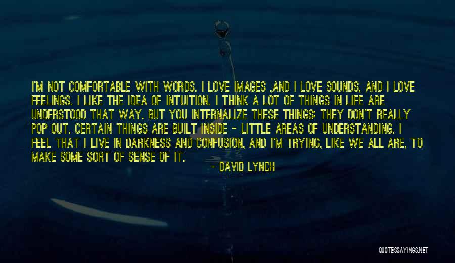 Confusion Of Feelings Quotes By David Lynch Confusion Of Feelings Quotes By David Lynch