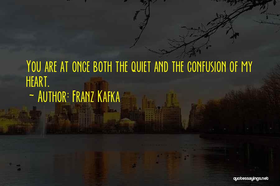 Confusion Of The Heart Quotes By Franz Kafka