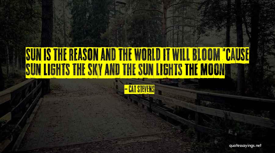 Confusion Pinterest Quotes By Cat Stevens Confusion Pinterest Quotes By Cat Stevens