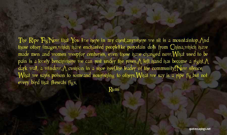 Confusion Pinterest Quotes By Rumi Confusion Pinterest Quotes By Rumi