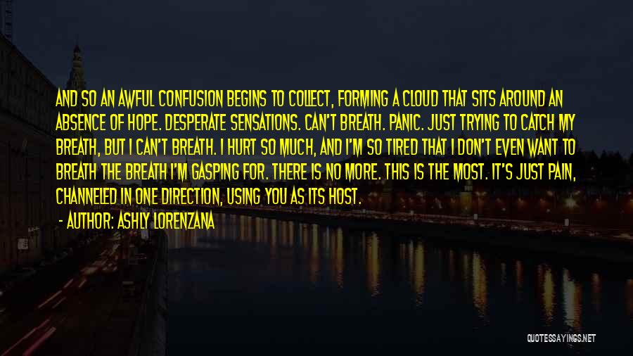 Confusion Quotes By Ashly Lorenzana