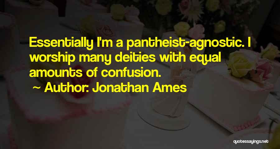 Confusion Quotes By Jonathan Ames