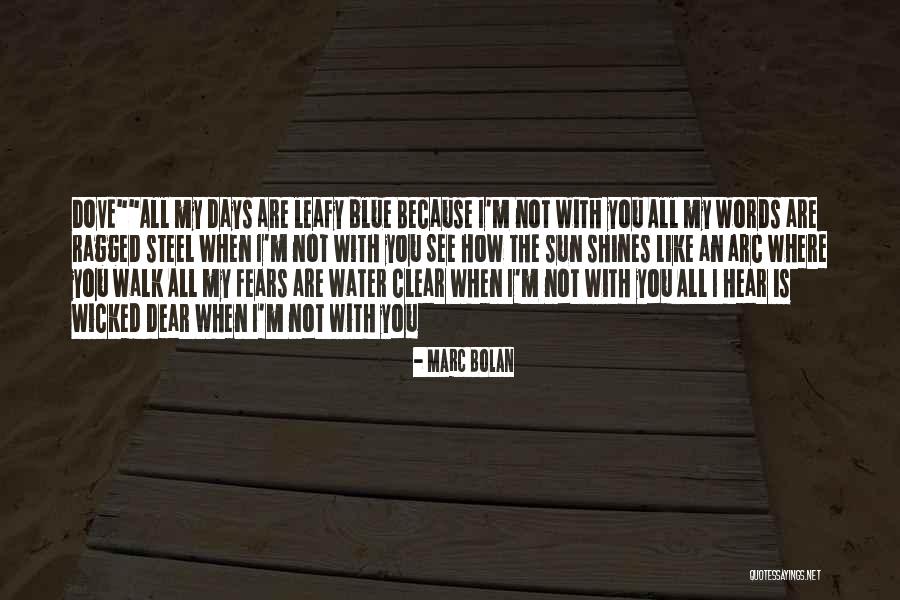 Congeneric Drug Quotes By Marc Bolan Congeneric Drug Quotes By Marc Bolan