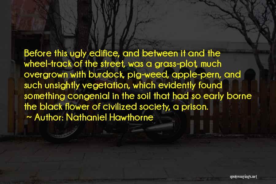 Congenial Quotes By Nathaniel Hawthorne
