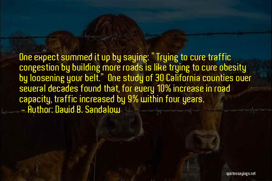 Congestion Quotes By David B. Sandalow