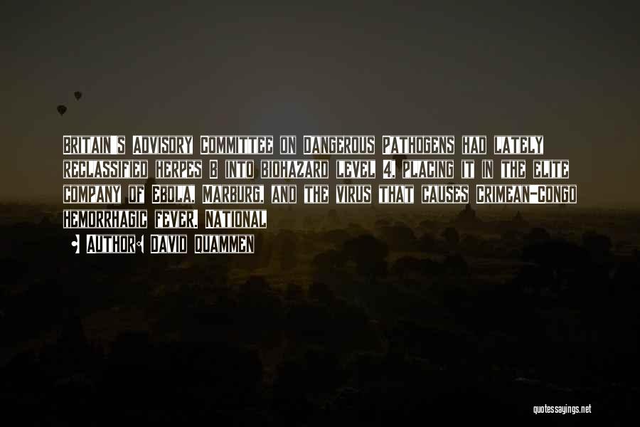 Congo Quotes By David Quammen