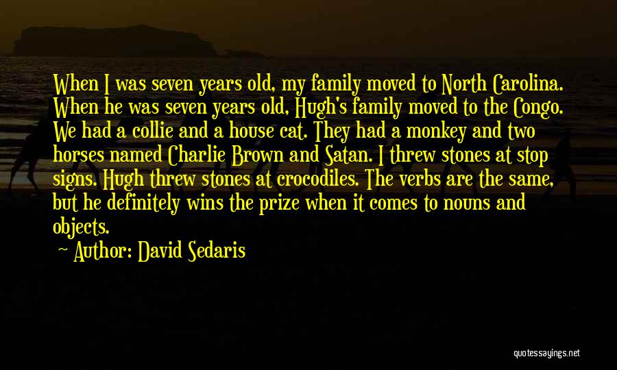 Congo Quotes By David Sedaris