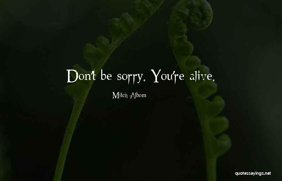 Congratular Priberam Quotes By Mitch Albom Congratular Priberam Quotes By Mitch Albom