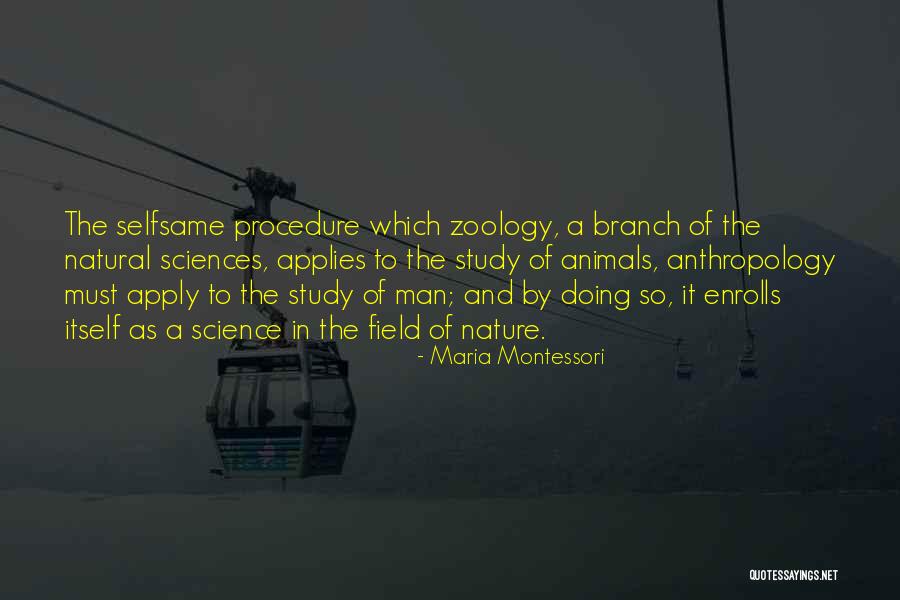 Congregated Quotes By Maria Montessori Congregated Quotes By Maria Montessori