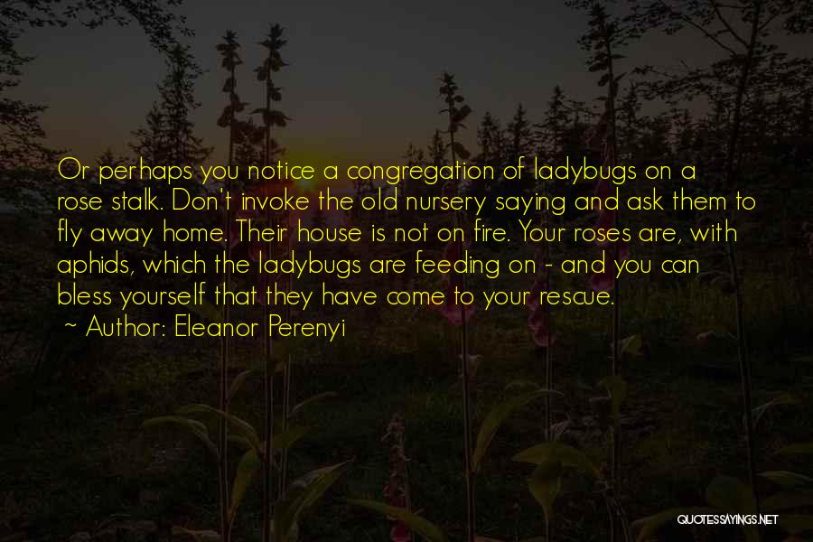 Congregation Quotes By Eleanor Perenyi