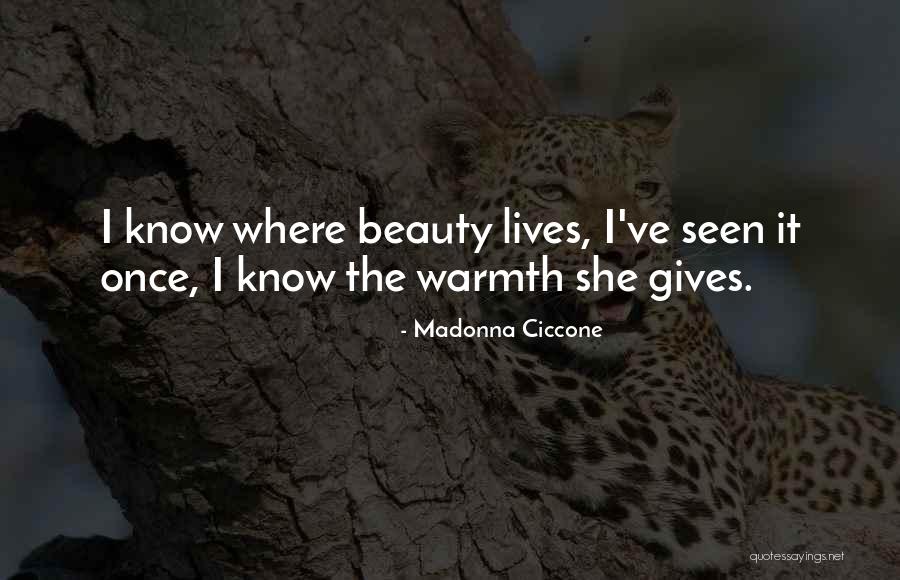 Congressman Lewis Quotes By Madonna Ciccone Congressman Lewis Quotes By Madonna Ciccone