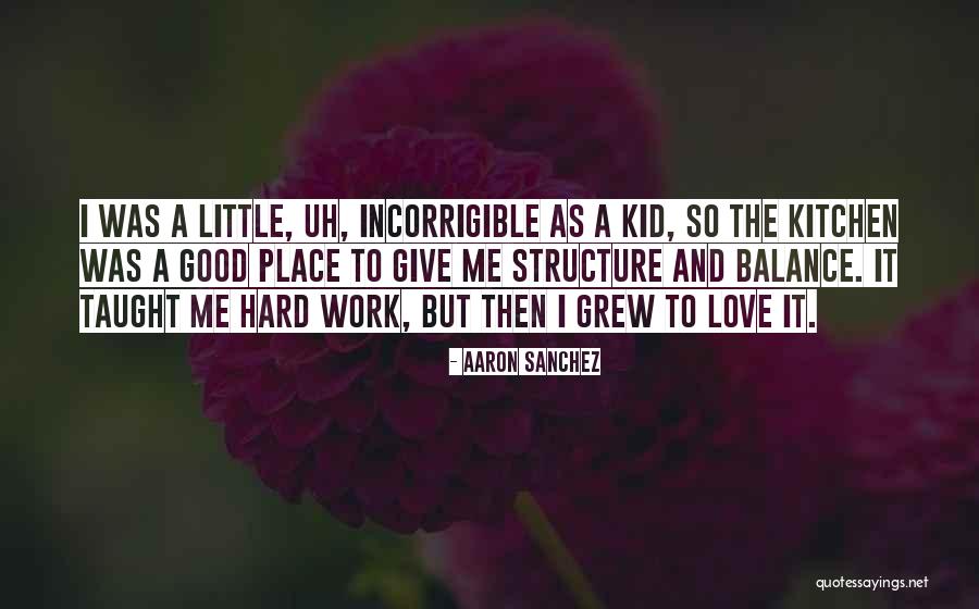 Congressperson For My District Quotes By Aaron Sanchez Congressperson For My District Quotes By Aaron Sanchez