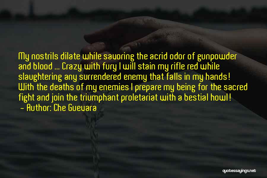 Congruous Def Quotes By Che Guevara