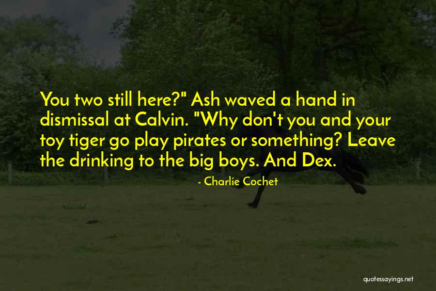 Conhecendo Stray Quotes By Charlie Cochet