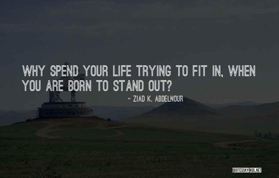 Conhecendo Stray Quotes By Ziad K. Abdelnour