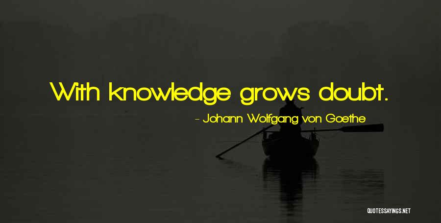 Conhecer Conjugation Quotes By Johann Wolfgang Von Goethe