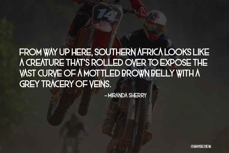 Conheces O Quotes By Miranda Sherry Conheces O Quotes By Miranda Sherry