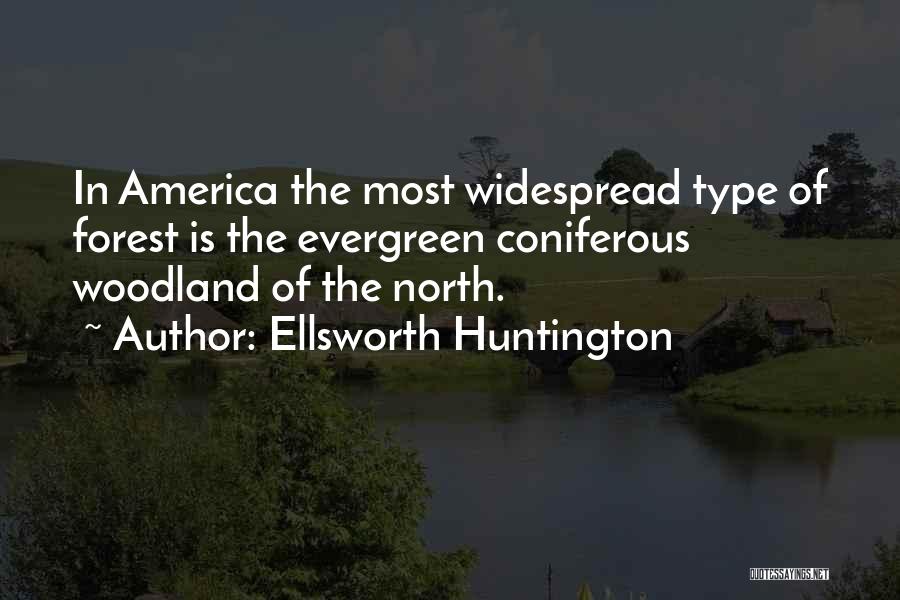 Coniferous Forest Quotes By Ellsworth Huntington