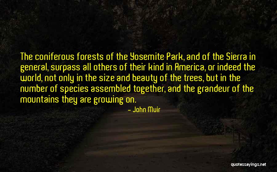 Coniferous Trees Quotes By John Muir Coniferous Trees Quotes By John Muir