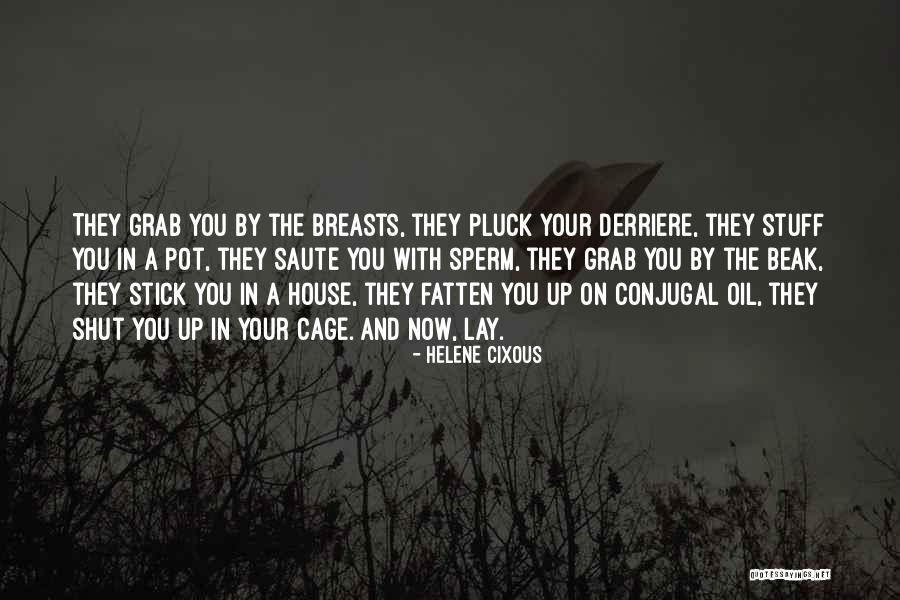 Conjugal Quotes By Helene Cixous Conjugal Quotes By Helene Cixous