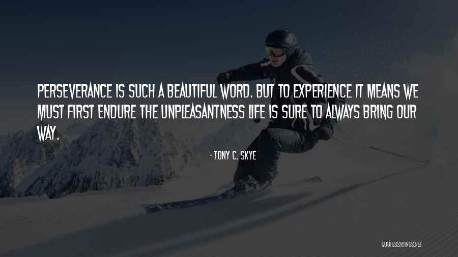 Conjugations Of Estar Quotes By Tony C. Skye Conjugations Of Estar Quotes By Tony C. Skye