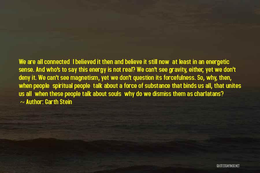 Connected Souls Quotes By Garth Stein