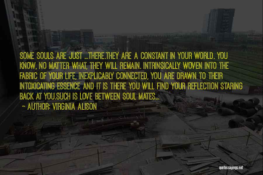 Connected Souls Quotes By Virginia Alison