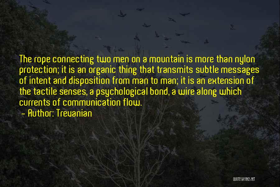 Connecting Two Quotes By Trevanian