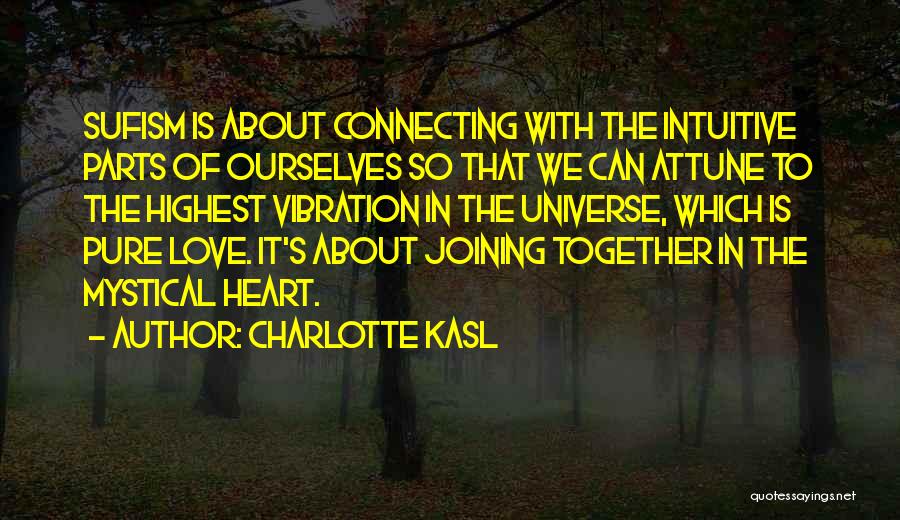 Connecting With The Universe Quotes By Charlotte Kasl