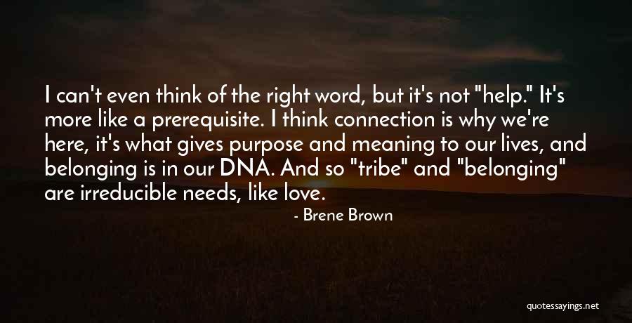 Connection In Love Quotes By Brene Brown