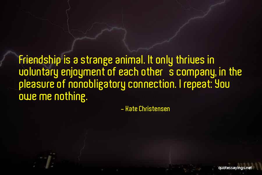 Connection In Love Quotes By Kate Christensen