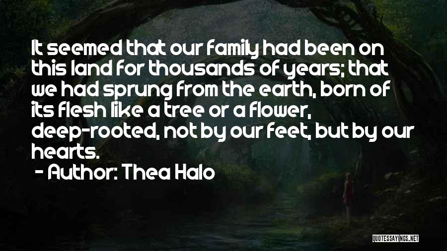 Connection To Land Quotes By Thea Halo