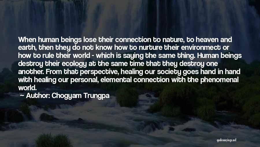 Connection To Nature Quotes By Chogyam Trungpa