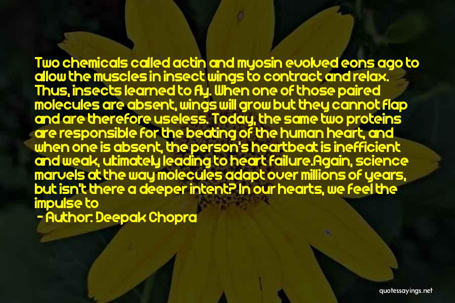 Connection To Nature Quotes By Deepak Chopra