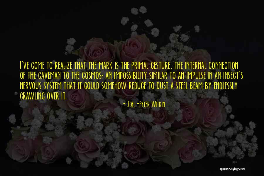 Connection With Cosmos Quotes By Joel-Peter Witkin Connection With Cosmos Quotes By Joel-Peter Witkin