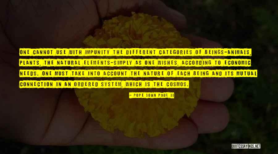Connection With Cosmos Quotes By Pope John Paul II Connection With Cosmos Quotes By Pope John Paul II